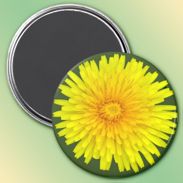 imán Dandelion de verano (Subido por el creador)