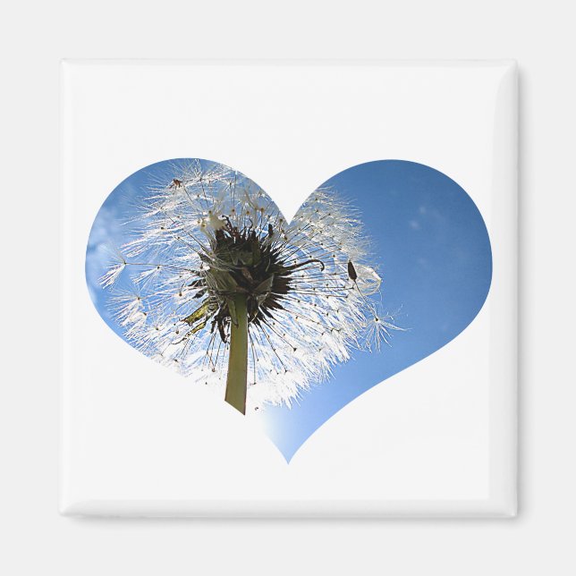 Imán Dandelion Heart Magnet (Frente)