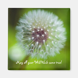 Imán Dandelion Refrigerator Magnet