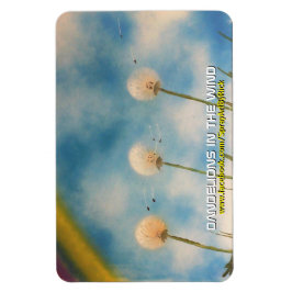 Imán Dandelions in the Wind