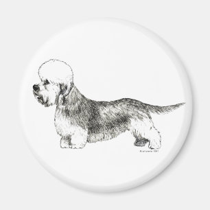 Imán Dandie Dinmont Terrier