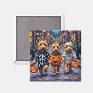 Imán Dandie Dinmont Terrier Pidiendo Dulces en Hallowee