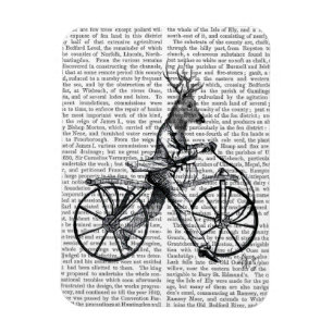Imán Dandy Deer en bicicleta vieja