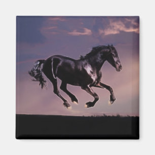 Imán Danza del caballo en la puesta del sol