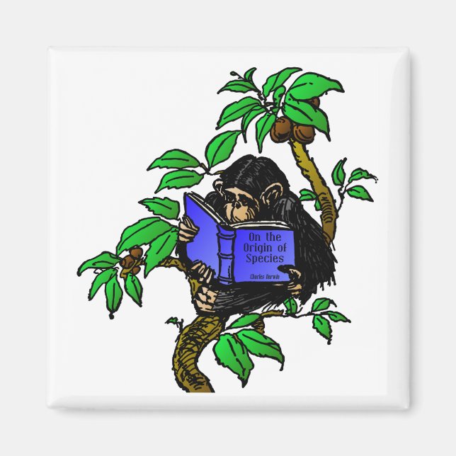 Imán Darwin Fan (Frente)