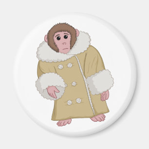 Imán Darwin que Ikea Monkey