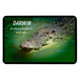 Imán Darwin Territorio Norte Cocodrilo de agua salada