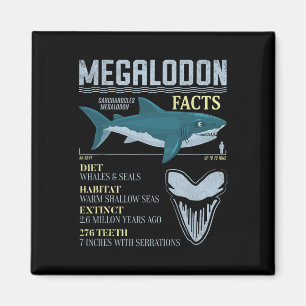 Imán Datos de Megalodón Diente de Tiburón Prehistórico 