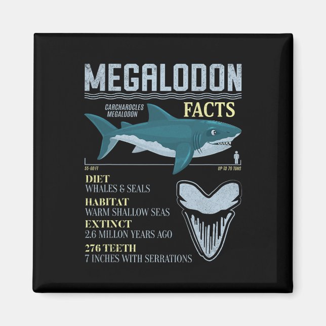 Imán Datos de Megalodón Diente de Tiburón Prehistórico  (Frente)