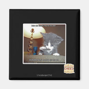 Imán Dats una pequeña piel del paso yo