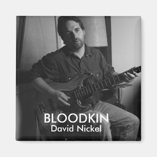 IMÁN DAVID NICKEL MAGNET