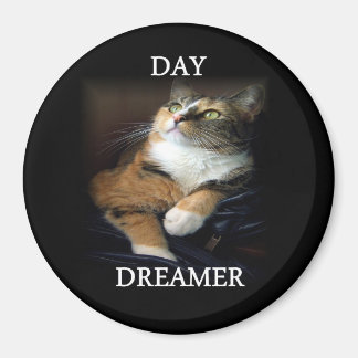 Imán Day Dreamer Magnet