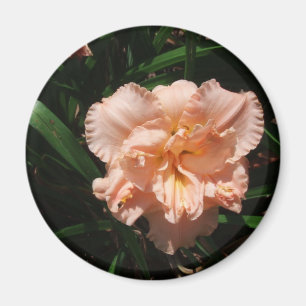 Imán Daylily doble