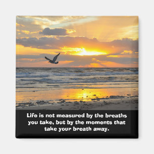 Imán Daytona Beach, FL de la salida del sol del