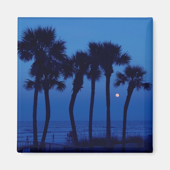 Imán Daytona Beach FL Tropical Palm Tree Moon Magnets (Frente)