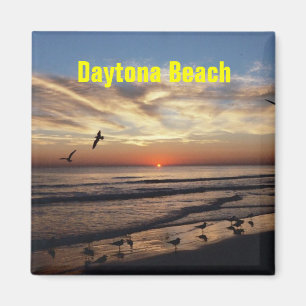 Imán Daytona Beach Magnet