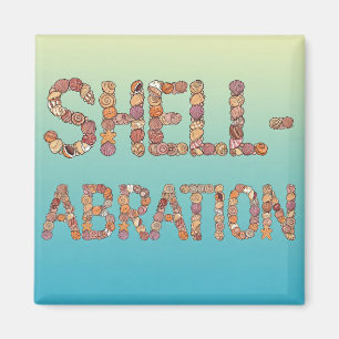Imán De Abración De Shell