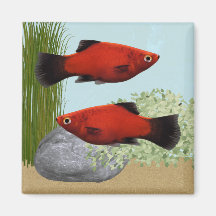 Imán de Acuario de Peces Tropicales Platies Rojas