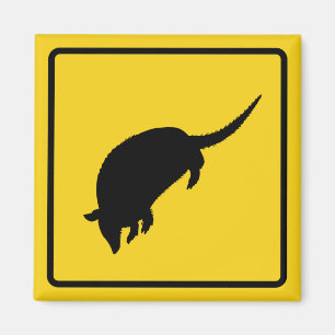 Imán de advertencia de armadillo