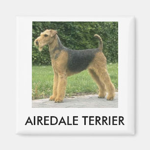 Imán de Airedale Terrier