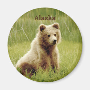 Imán de Alaska con el cachorro de oso grizzly
