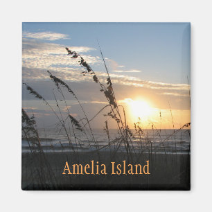 Imán de Amelia Island