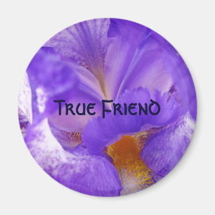 Imán de amigo verdadero Flor de lirio púrpura rega