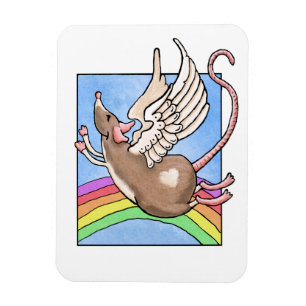 Imán de Ángel de Rata