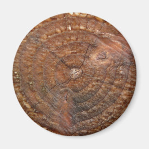 imán de anillo redondo de árbol