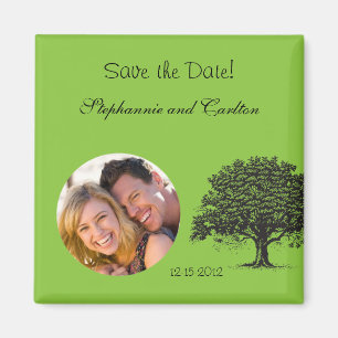 Imán de anuncio verde/negro de árbol de primavera