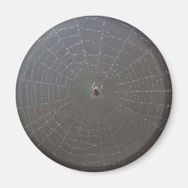 Imán de Araña (Frente)