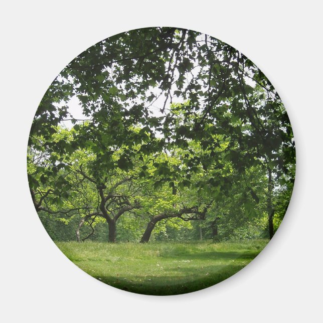 Imán de árbol (Frente)