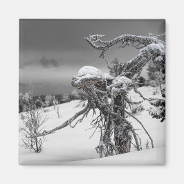 Imán de árbol alienígena