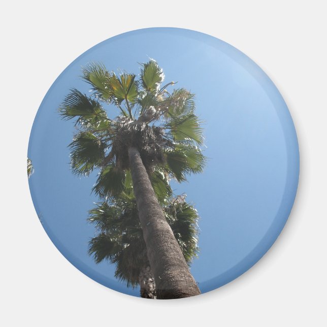 Imán de árbol de palmas (Frente)