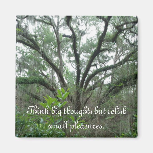 Imán de árbol tranquilo (Frente)