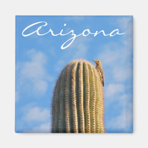 Imán de Arizona