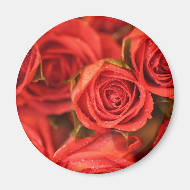 imán de arte fotográfico de rosas de chaqueta nara (Frente)
