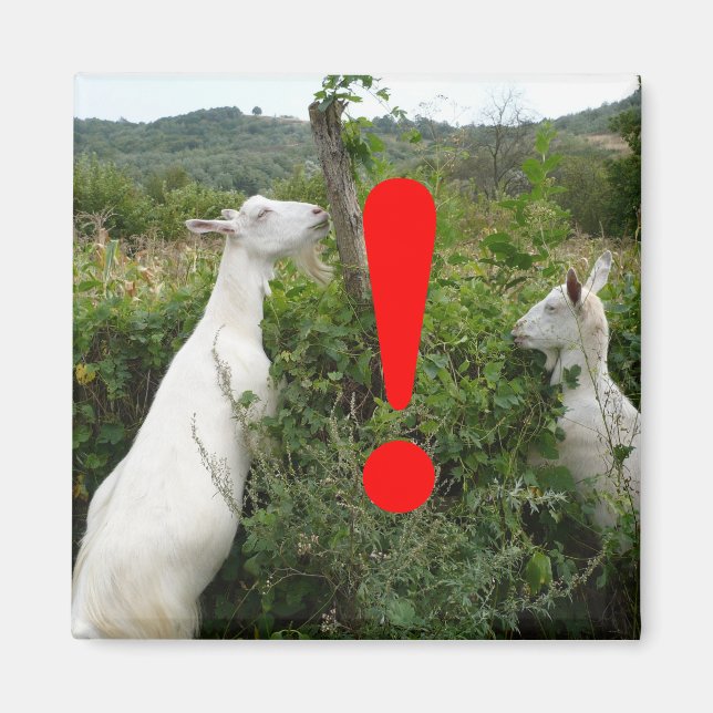 Imán de atención (Frente)