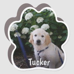 Imán de auto fotográfico personalizado de perras d