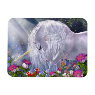 Imán de Avalon Flexi