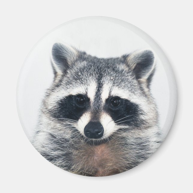 imán de azúcar (Frente)