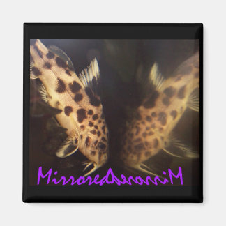 Imán de bagre (espejado)