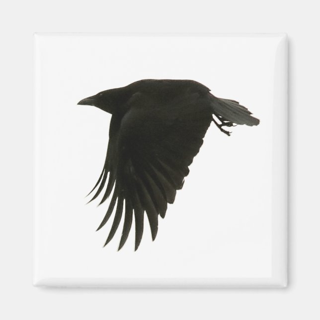 imán de baja pulsación (Frente)