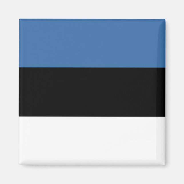 imán de bandera de Estonia (Frente)