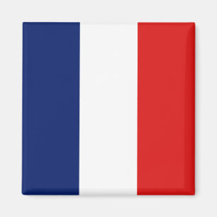 imán de bandera de Guyane