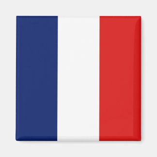 imán de bandera de Guyane