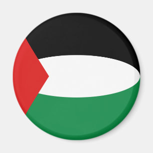 Imán de bandera de Palestina ojo de pez