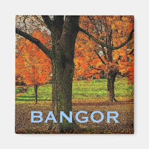 Imán de Bangor