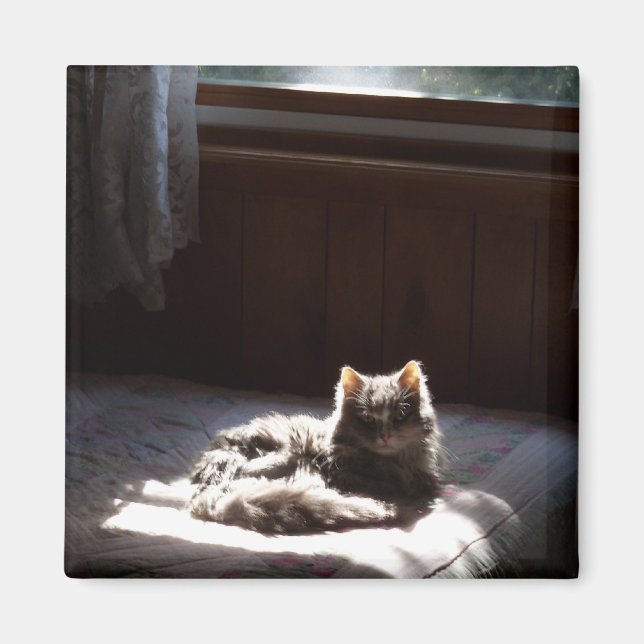 Imán de barrido (Frente)