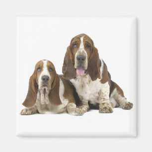 Imán de Basset Hound